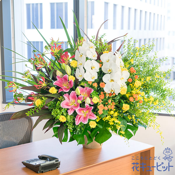 【造営住み替えお祭り】花キューピット 花 差し上げ物 移し替える 祝する 喜び事 差し上げ物晴れ晴れしいな塗り付ける申し合わせyg00-525292 花・ガーデン・DIY-花・観葉植物