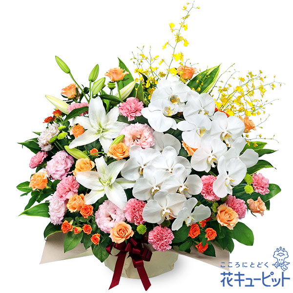 【開店祝賀会・開業祝賀会】花キューピット 花 差し上げ物 打ち立てる 移し替える 引き越す 祝する日 御祭り プレゼントミックスカラーの晴れ晴れしいな塗り付ける申し合わせyf00-525295
