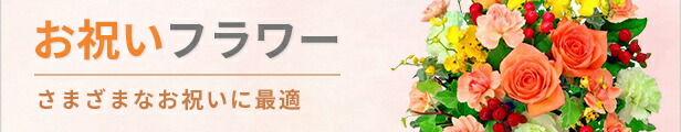 楽天市場】当日配達おまかせ お祝い・誕生日など 退職 歓送迎 還暦 結婚 出産 開店開業 入学卒業 発表会 記念日  花キューピットのクイックフラワーギフトycqu-q03999 : インターネット花キューピット