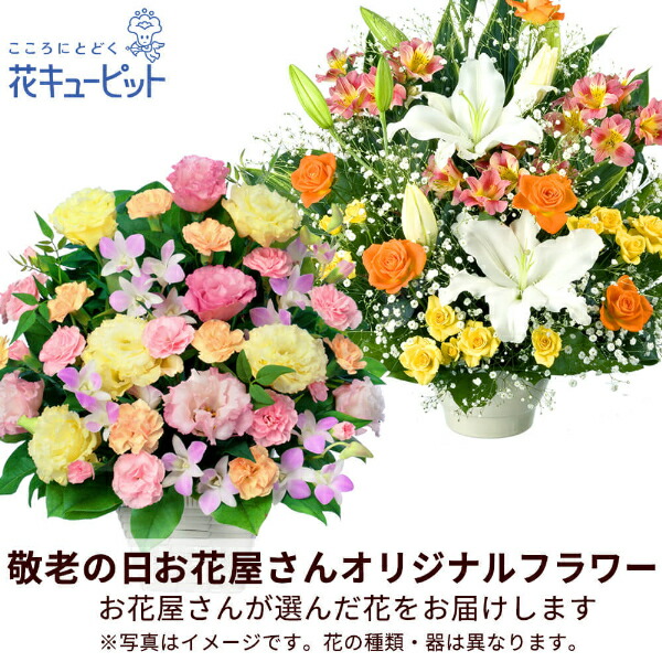 Seal限定商品 花キューピット 母の日 お花屋さんおすすめギフト お花屋さんおすすめ オリジナルアレンジmtyr Map010 女性 お母さん ママ 母 祖母 誕生日 プレゼント カーネーション Www Nso Mn Seal限定商品 花キューピット 母の日 お花屋さんおすすめギフト お花屋さんおすすめ オリジナルアレンジmtyr Map010 女性 お母さん ママ 母 祖母 誕生日 プレゼント カーネーション Www Nso Mn