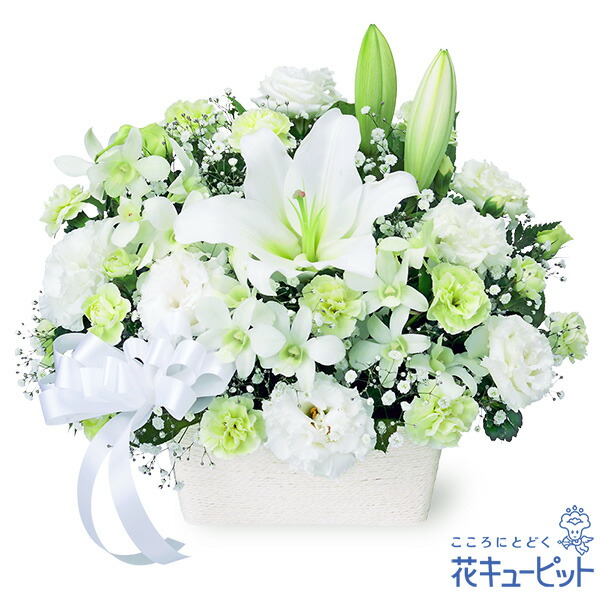 【御盆】花キューピット 新盆 初盆 供花 仏花 法事 仏事 お悔やみ お供え 供え物お供えの申し合わせmk00-ob511979