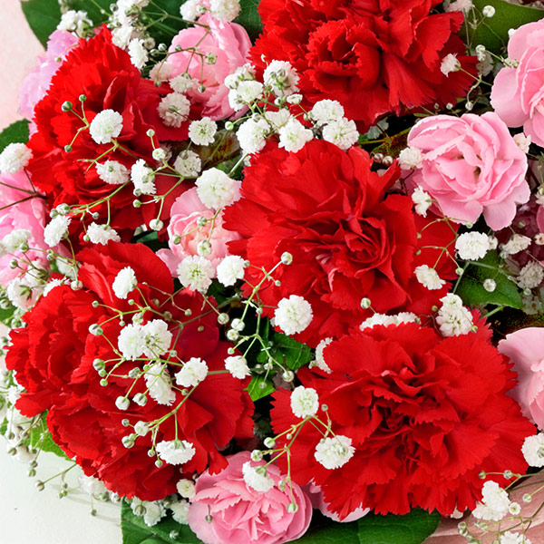 すべての美しい花の画像 50 素晴らしい母の日 プレゼント カーネーション