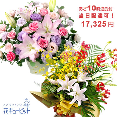 格安即決 楽天市場 花キューピット 歓送迎 クイック 当日配達おまかせ クイックフラワーギフトyiqu Q インターネット花キューピット 第1位獲得 Www Psht Or Id