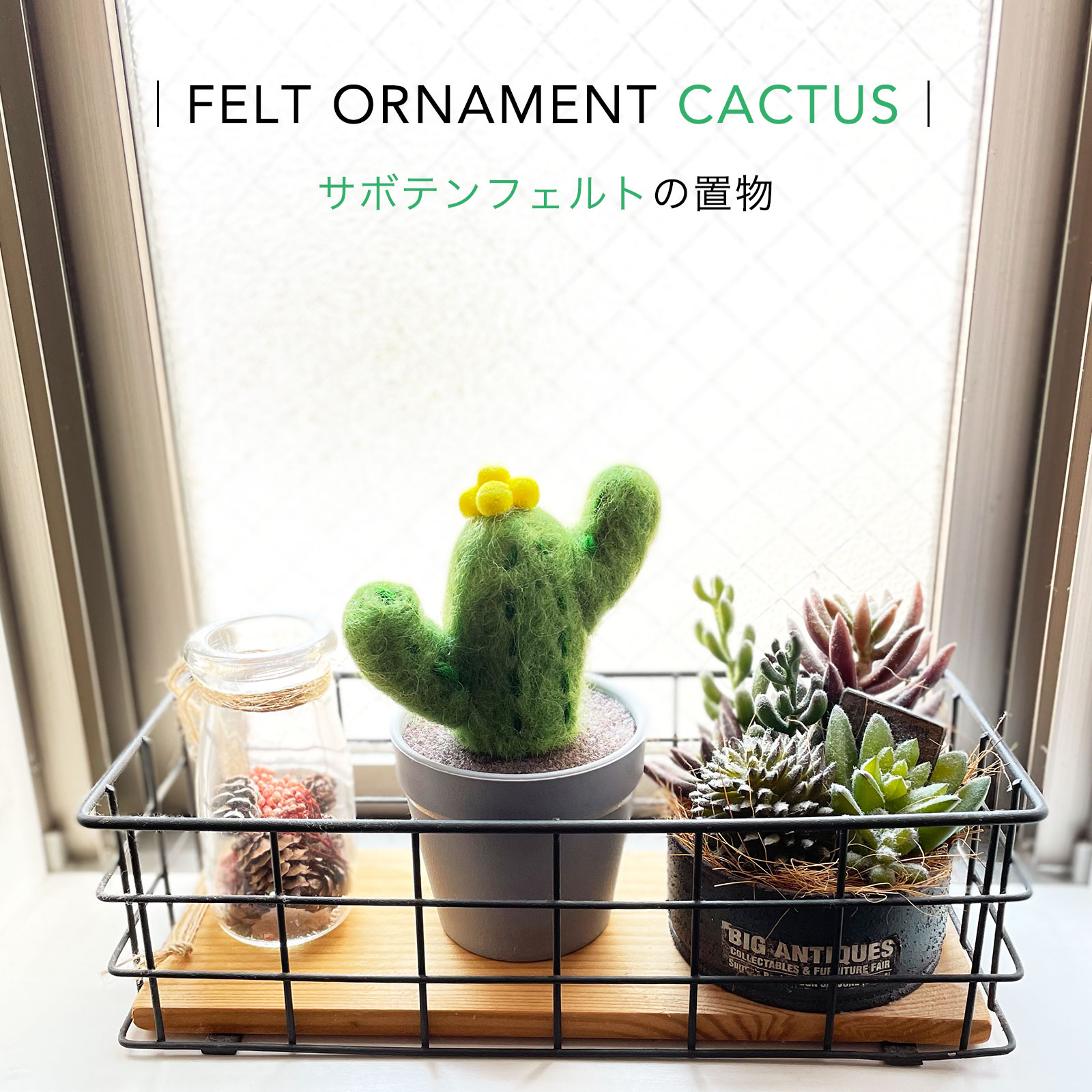 サボテンフェルト サボテン フェルト 置物 インテリア 可愛い ディスプレイ オブジェ 送料無料 Iam Natural Marcsdesign Com