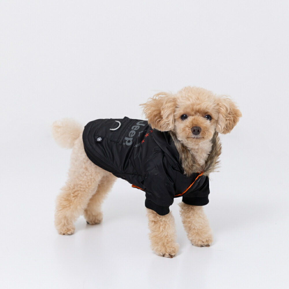 JEEP(R) Jeep Flight Jacket Dog Clothes, Autumn/Winter Clothes, Pet Clothes, Dog Clothes, Miniature Dachshund, Cold Protection, Warm, Easy to Wear, Front Buttons, Cold Protection, Cute