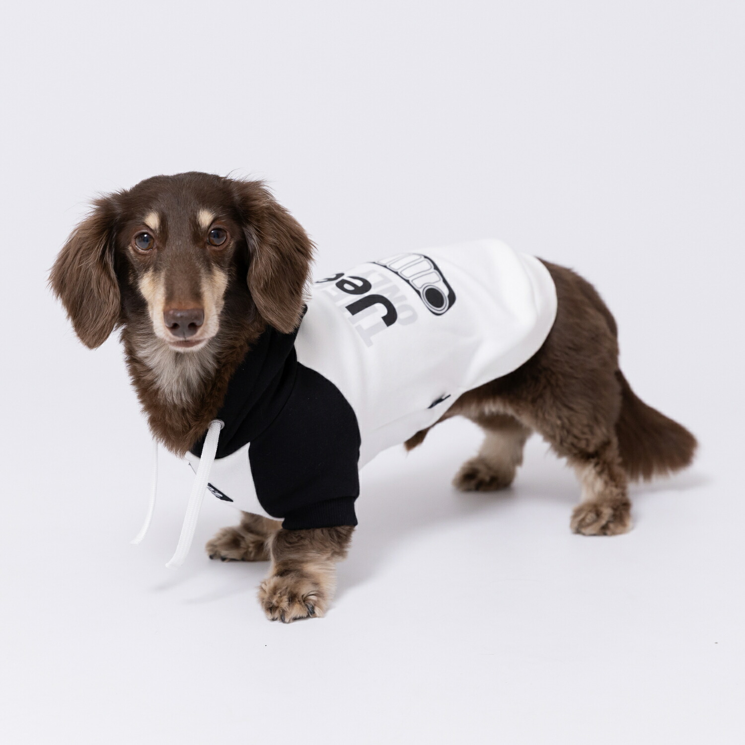 【JEEP(R)】ジープダブルフェイストレーナーパーカーホワイト犬いぬ犬服秋冬服秋服冬服ペットウェアドッグウェアトイプードルチワワダックスかっこいいおしゃれあったか寒さ対策お散歩お出掛け小型犬中型犬男の子