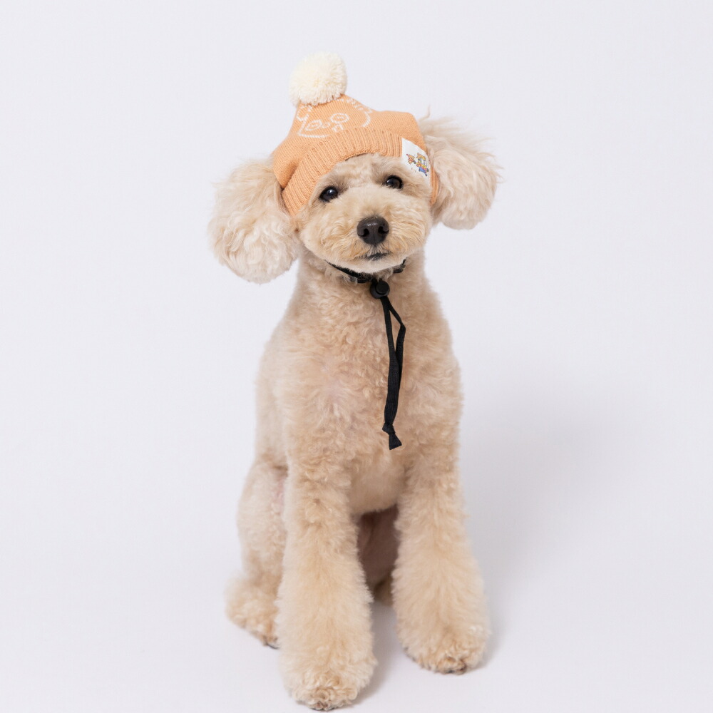 【3点購入で50％OFFクーポン】【minion】ミニオンペット用ニット帽ボブ/ティム犬の帽子犬いぬ猫ねこネコペットかわいい帽子お散歩お出かけおしゃれあったか防寒寒さ対策コスプレ仮装イベント記念撮影ひも付き