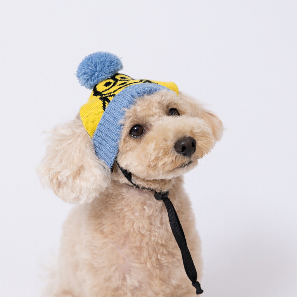 【3点購入で50％OFFクーポン】【minion】ミニオンペット用ニット帽ボブ/ティム犬の帽子犬いぬ猫ねこネコペットかわいい帽子お散歩お出かけおしゃれあったか防寒寒さ対策コスプレ仮装イベント記念撮影ひも付き