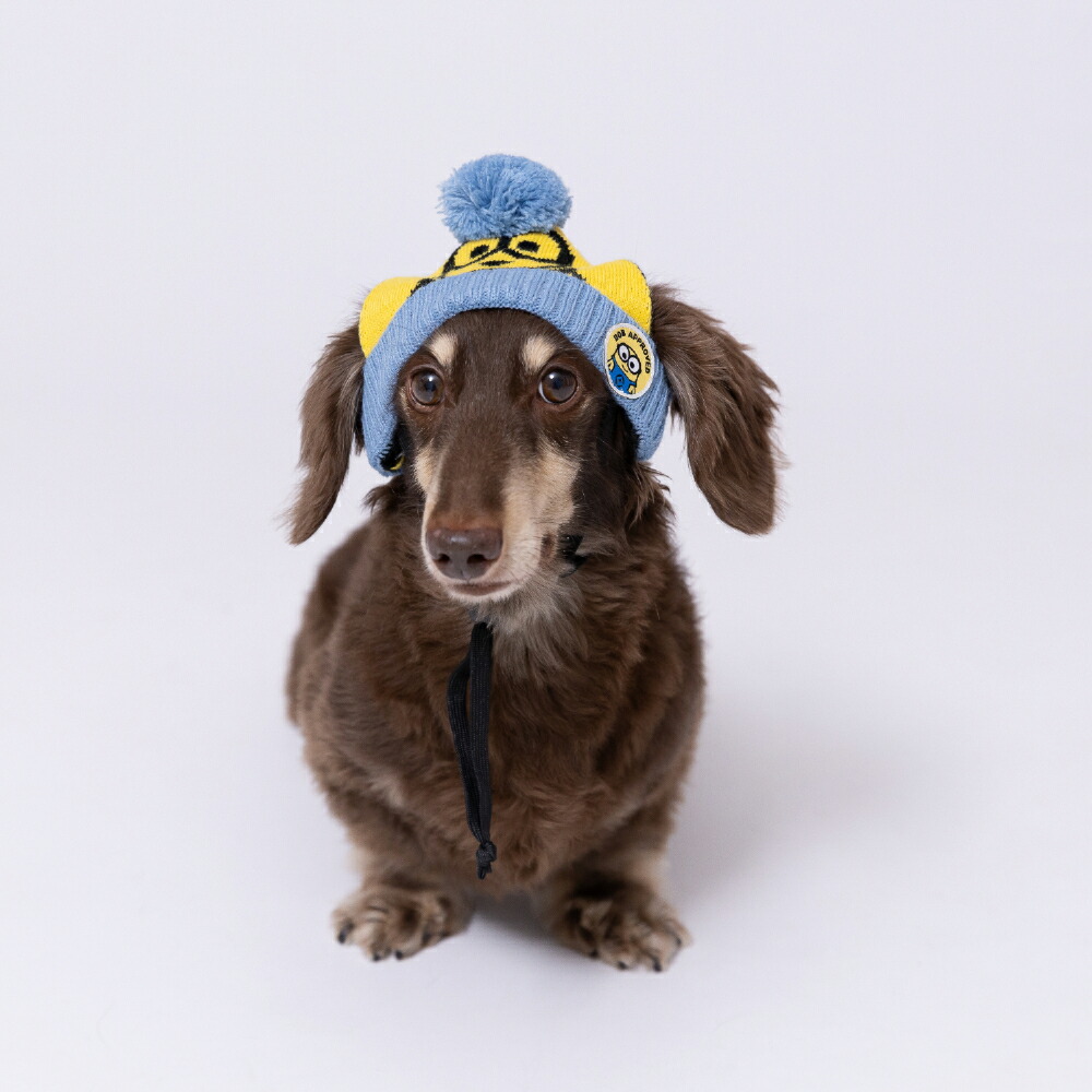【3点購入で50％OFFクーポン】【minion】ミニオンペット用ニット帽ボブ/ティム犬の帽子犬いぬ猫ねこネコペットかわいい帽子お散歩お出かけおしゃれあったか防寒寒さ対策コスプレ仮装イベント記念撮影ひも付き