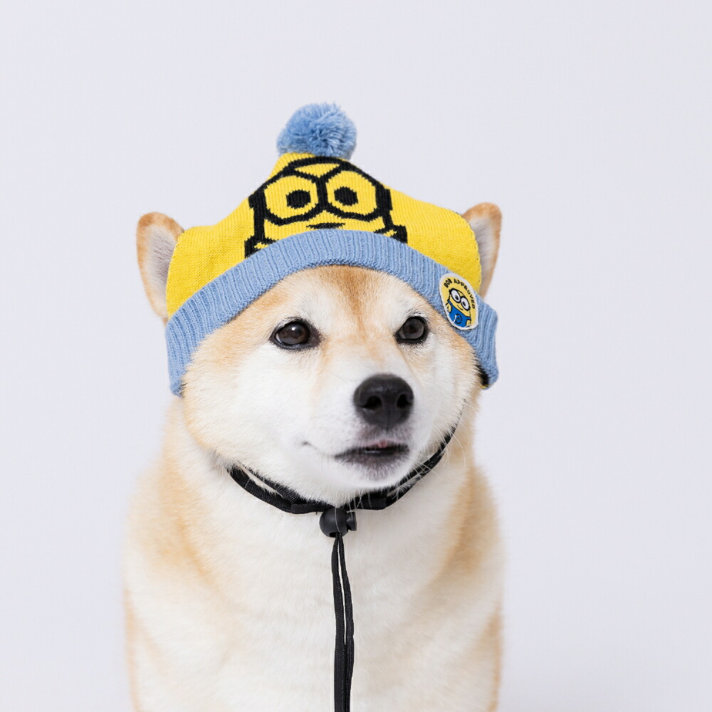 【3点購入で50％OFFクーポン】【minion】ミニオンペット用ニット帽ボブ/ティム犬の帽子犬いぬ猫ねこネコペットかわいい帽子お散歩お出かけおしゃれあったか防寒寒さ対策コスプレ仮装イベント記念撮影ひも付き