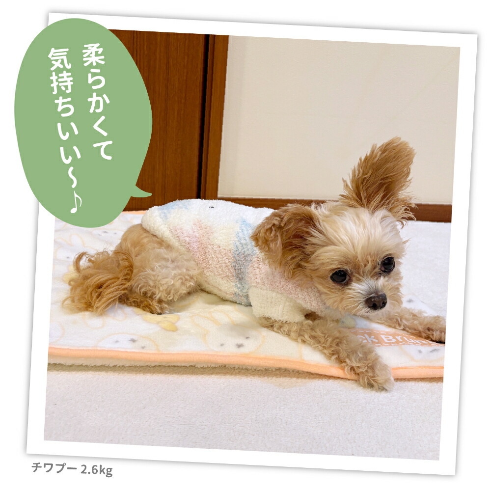 【Miffy】ミッフィー&スナッフィーボアブランケットMサイズペットベッドペットベットブランケットペット用クッション犬用猫用秋冬あったかおしゃれ寝具車用マットうさぎウサギ猫ベッド犬ベッドかわいい防寒寒さ対策