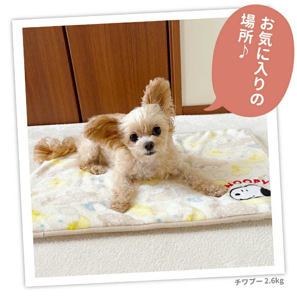 PEANUTS SNOOPY Cloudy Pattern Boa Blanket, Medium Size, Pet Bed, Blanket, Pet Cushion, Warm Bedding Mat for Dogs and Cats, Autumn and Winter, Rabbit, Cat Bed, Cute, Cold Protection