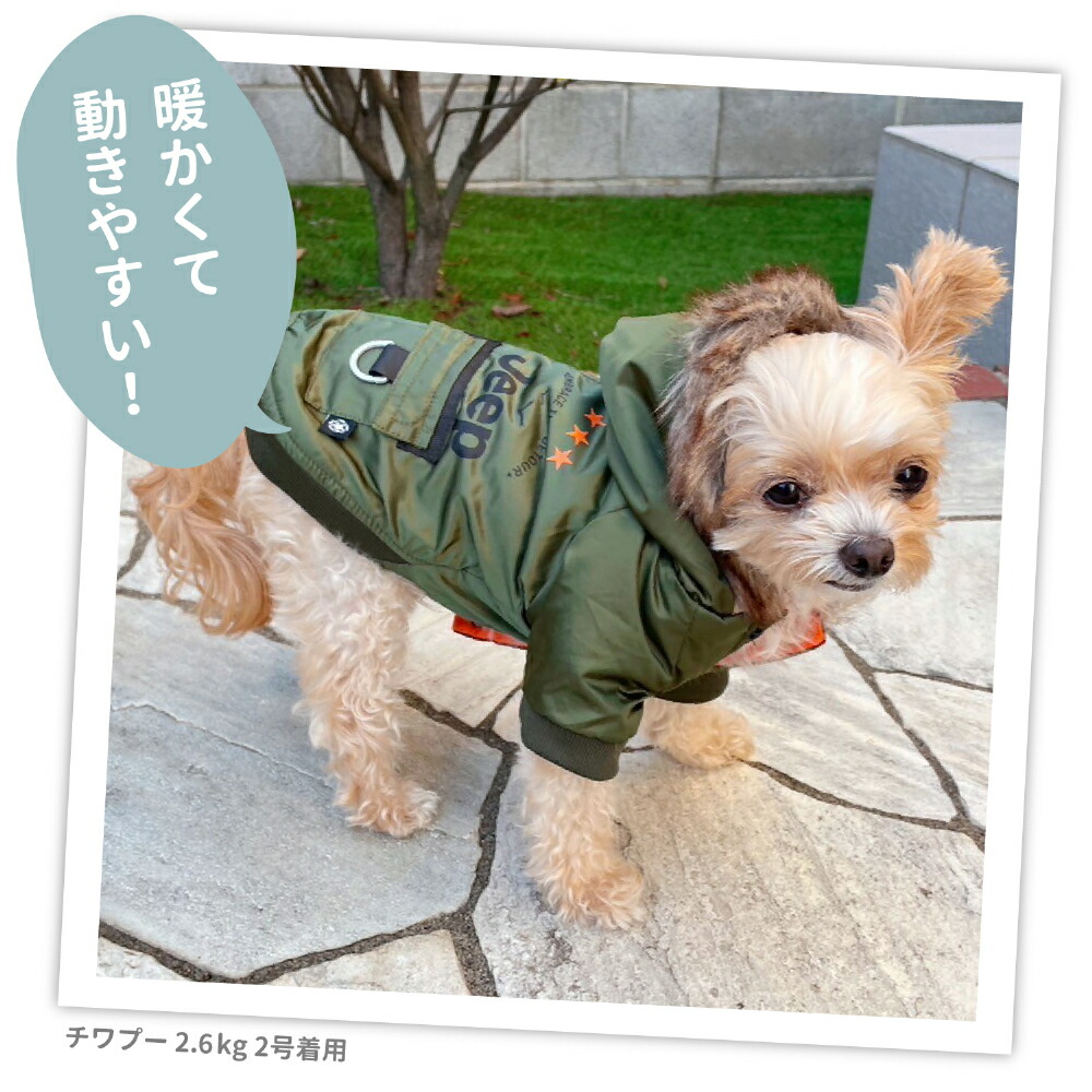 JEEP(R) Jeep Flight Jacket Dog Clothes, Autumn/Winter Clothes, Pet Clothes, Dog Clothes, Miniature Dachshund, Cold Protection, Warm, Easy to Wear, Front Buttons, Cold Protection, Cute