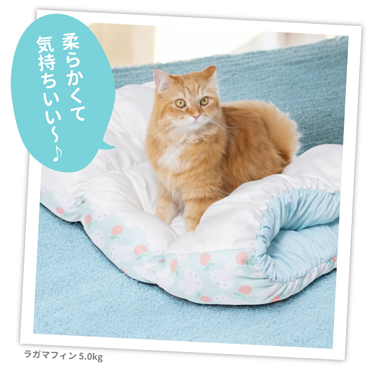 [Buy 2 and get 10% off with this coupon!] New Product [Miffy] Miffy Apple Cool Mogurin Bed for Dogs and Cats, Pet Bed, Pet House, Pet Cushion Mat, Spring/Summer Cooling Bedding, 2-Way, Tunnel-Shaped, Striped
