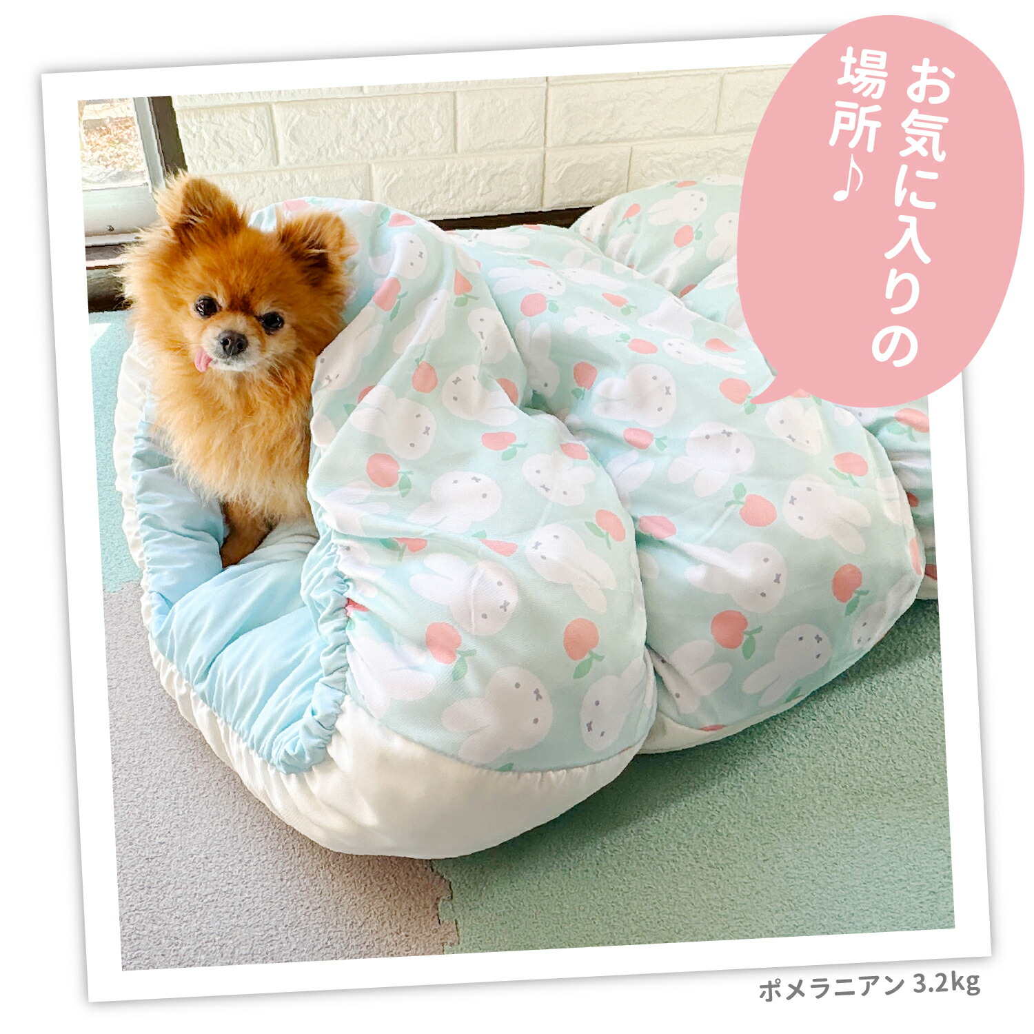 [Buy 2 and get 10% off with this coupon!] New Product [Miffy] Miffy Apple Cool Mogurin Bed for Dogs and Cats, Pet Bed, Pet House, Pet Cushion Mat, Spring/Summer Cooling Bedding, 2-Way, Tunnel-Shaped, Striped