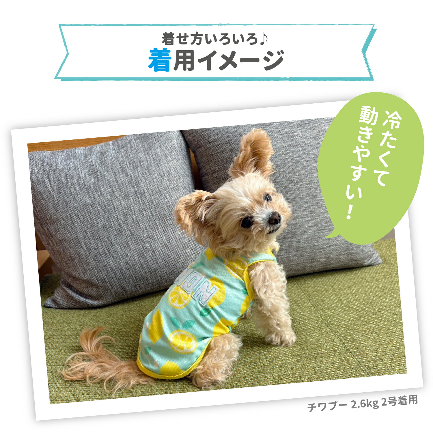 [Buy 3 items and get 10% off with this coupon!] New Item [PETTHREE] Pipi Fruit Print Tank Top in Strawberry/Lemon. Dog Clothes, Pet Supplies, Spring and Summer Clothes, Dog Wear, Pet Wear, Miniature Duck, Cool, Cooling