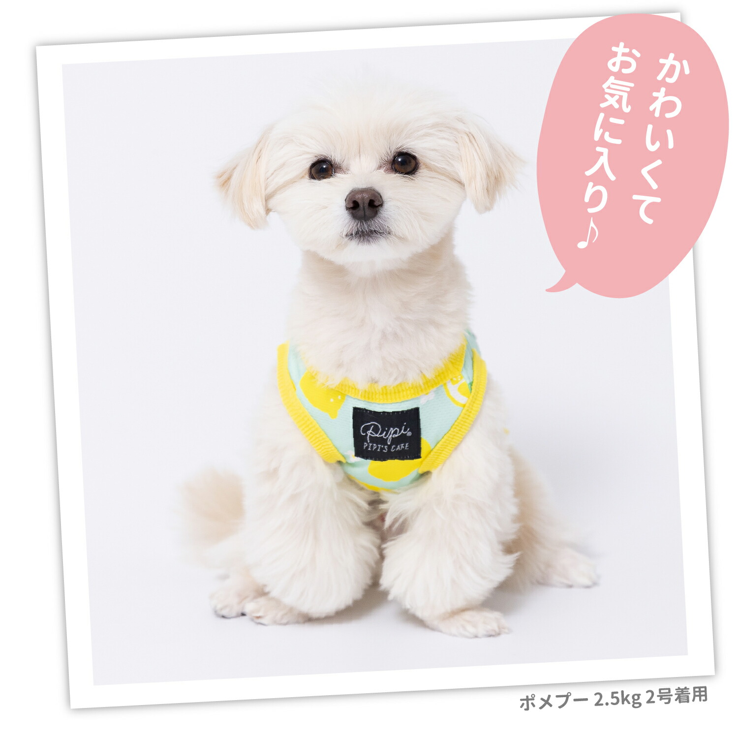 [Buy 3 items and get 10% off with this coupon!] New Item [PETTHREE] Pipi Fruit Print Tank Top in Strawberry/Lemon. Dog Clothes, Pet Supplies, Spring and Summer Clothes, Dog Wear, Pet Wear, Miniature Duck, Cool, Cooling