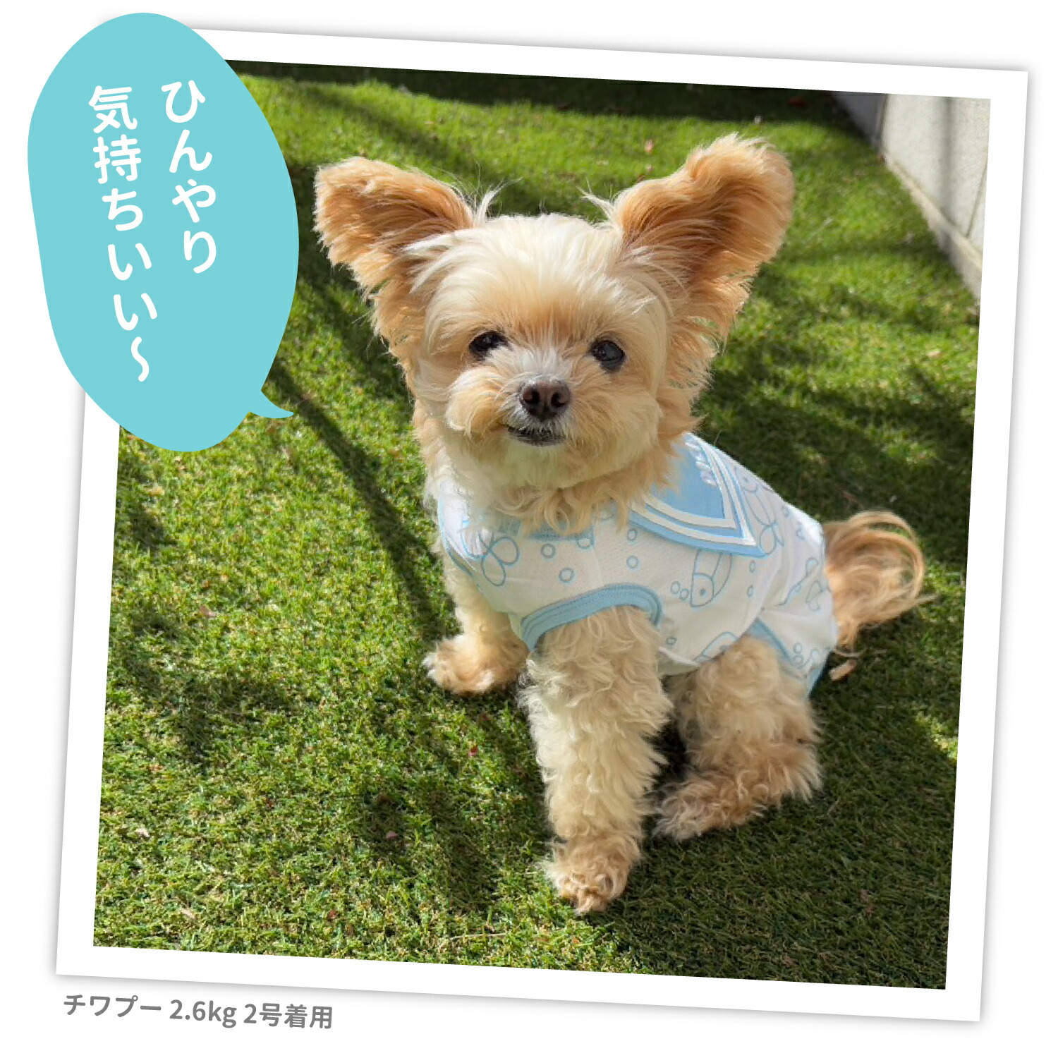 [Buy 3 items and get 10% off with this coupon] New Product [miffy] Miffy Sailor Cool Tank Top Dog Clothes Pet Supplies Dog Dog Pet Spring Clothes Summer Clothes Spring/Summer Clothes Dog Wear Pet Wear Miniature Duck Cool Cool