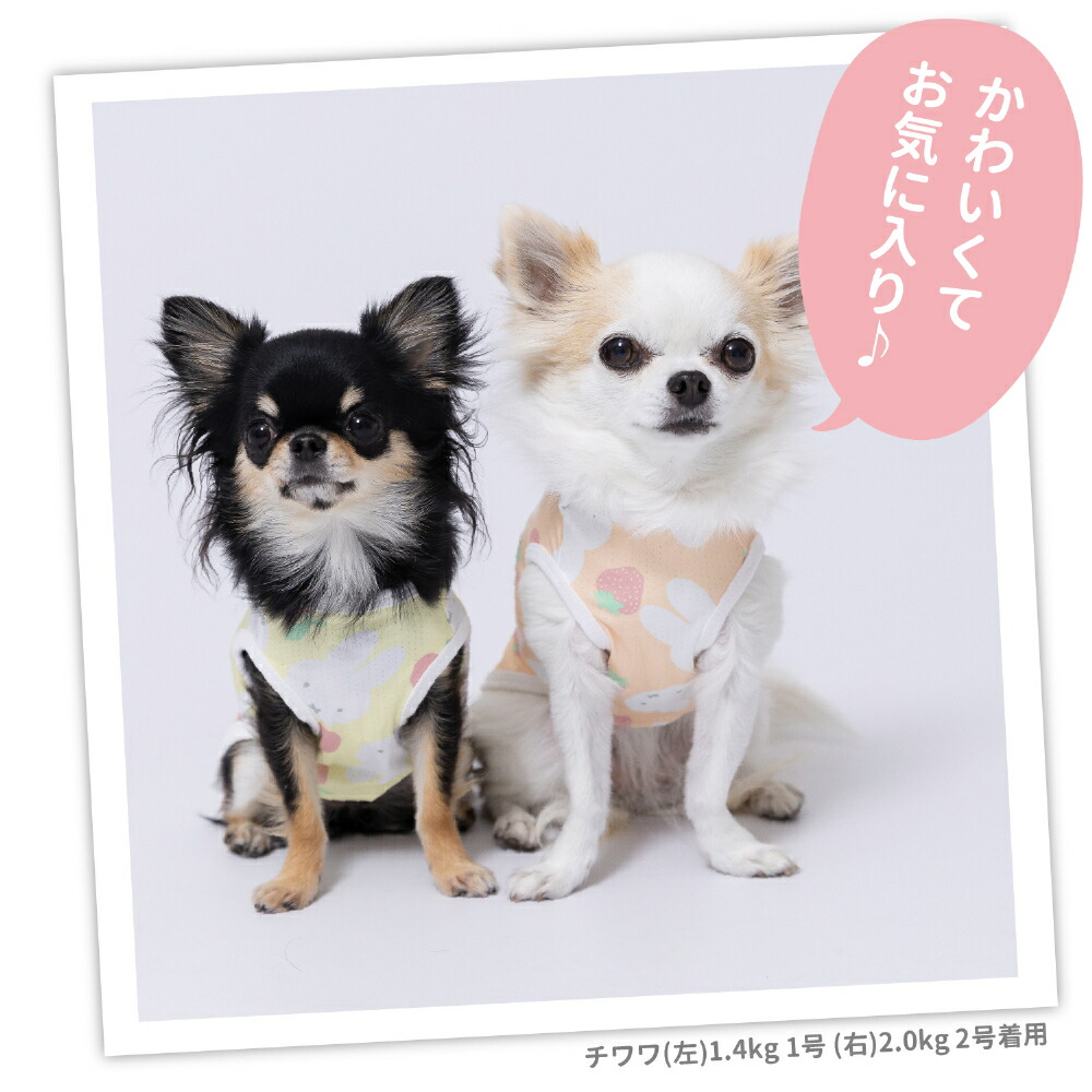 [Buy 3 items and get 10% off with this coupon] New Product [miffy] Miffy Cool Tank Top Dog Clothes Pet Supplies Dog Pet Spring Clothes Summer Clothes Spring/Summer Clothes Dog Wear Pet Wear Miniature Duck Cool Cool Feeling