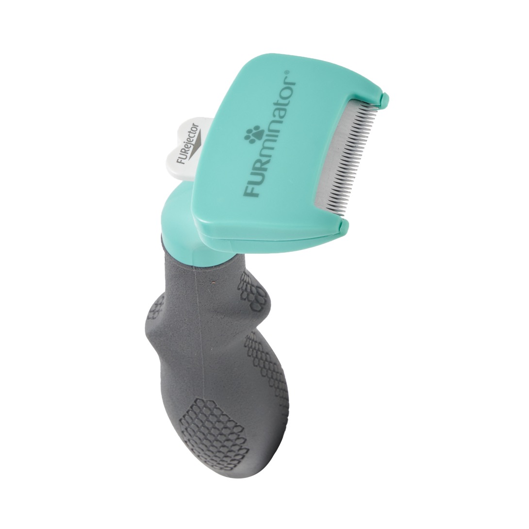 市場 今だけp10倍 ファーミネーター小型犬s短毛種用抜け毛対策毛玉アンダーコート犬ブラシ Dog 正規品 市場 今だけp10倍 ファーミネーター小型犬s短毛種用抜け毛対策毛玉アンダーコート犬ブラシ Dog 正規品