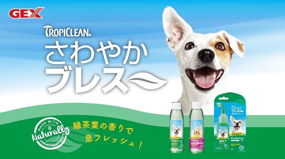 今だけp10倍 Gex ４７３ｍｌ さわやかブレスデンタルウォーターｎ成犬用 高齢犬用