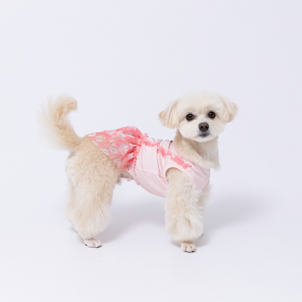 [Buy 3 items and get 10% off with this coupon] New Product [Disney] Disney Minnie Ribbon Dress Dog Clothes Pet Supplies Dog Dog Pet Spring Clothes Summer Clothes Spring/Summer Clothes Dog Wear Pet Wear Miniature Duck Cool Cool