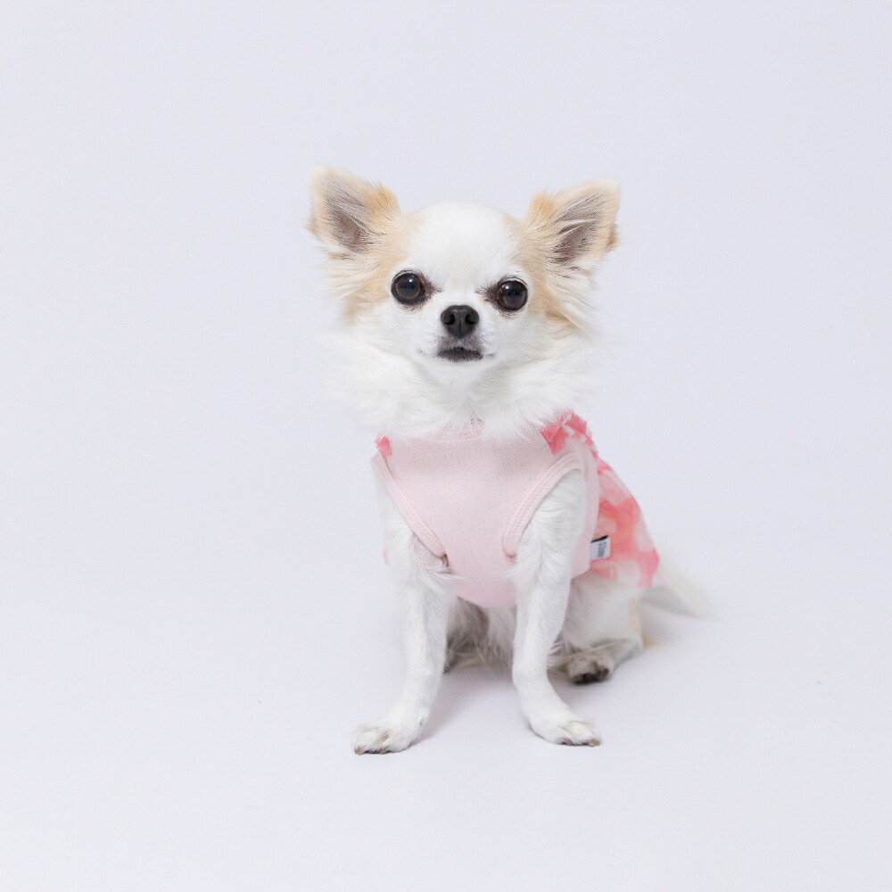 [Buy 3 items and get 10% off with this coupon] New Product [Disney] Disney Minnie Ribbon Dress Dog Clothes Pet Supplies Dog Dog Pet Spring Clothes Summer Clothes Spring/Summer Clothes Dog Wear Pet Wear Miniature Duck Cool Cool