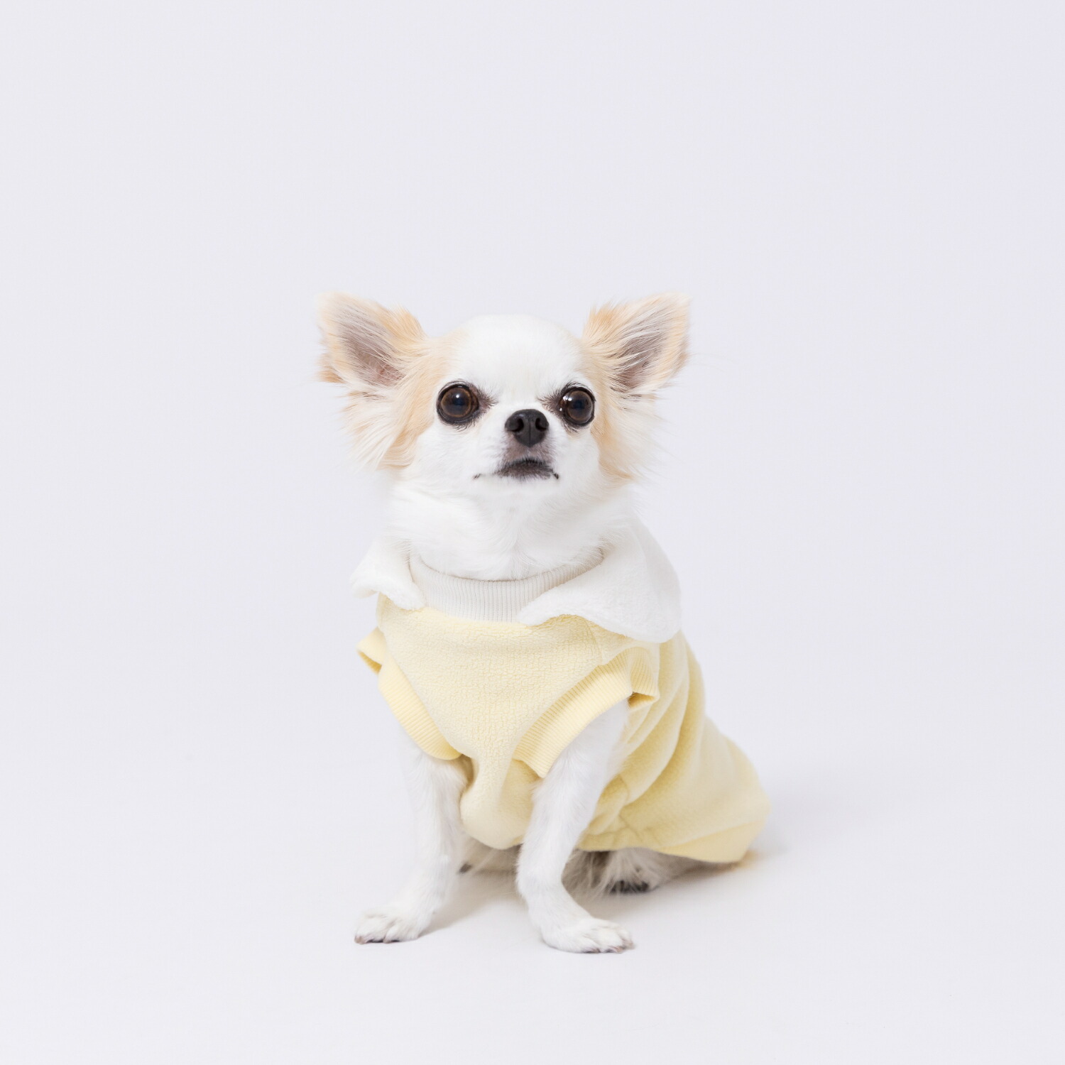 【先行予約クーポンで20％OFF】【Disney】ディズニープーさんフリースウエア犬いぬ犬服秋冬服秋服冬服ペットウェアドッグウェアミニチュアダックスかわいいおしゃれあったかもこもこ防寒寒さ対策お散歩お出かけ小型犬中型犬女の子男の子