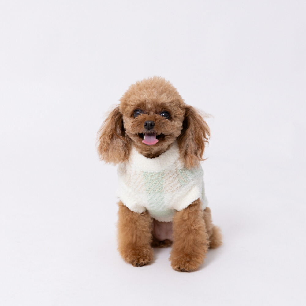 [Miffy] Miffy Boris Check Chenille Knit Dog Clothes, Autumn/Winter Clothes, Pet Clothes, Dog Clothes, Miniature Dachshund, Cute, Stylish, Warm, Fluffy, Cold Protection, Perfect for Walks and Outings