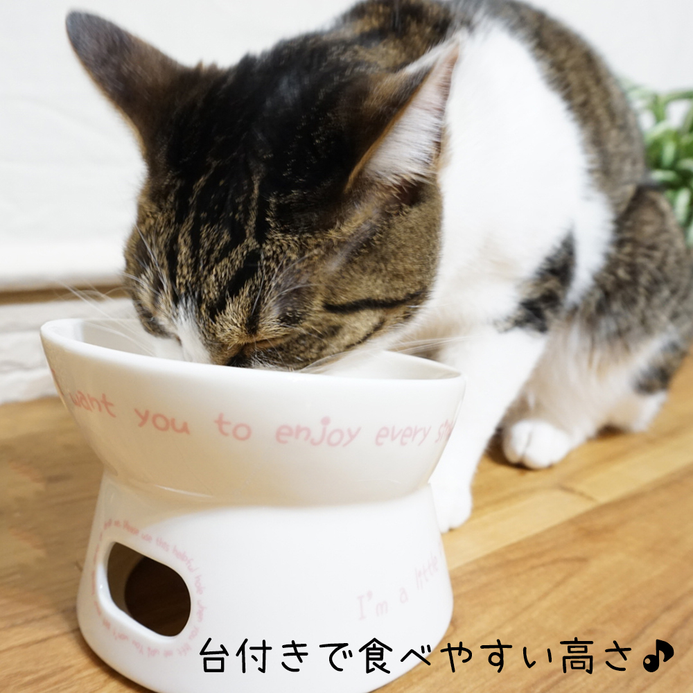 楽天市場 陶磁器 ネコちゃん用 マザーボウル Cw 7002lv 猫用 食器 台座 高さ Dog With Me ドッグウィズミー Dog With Me