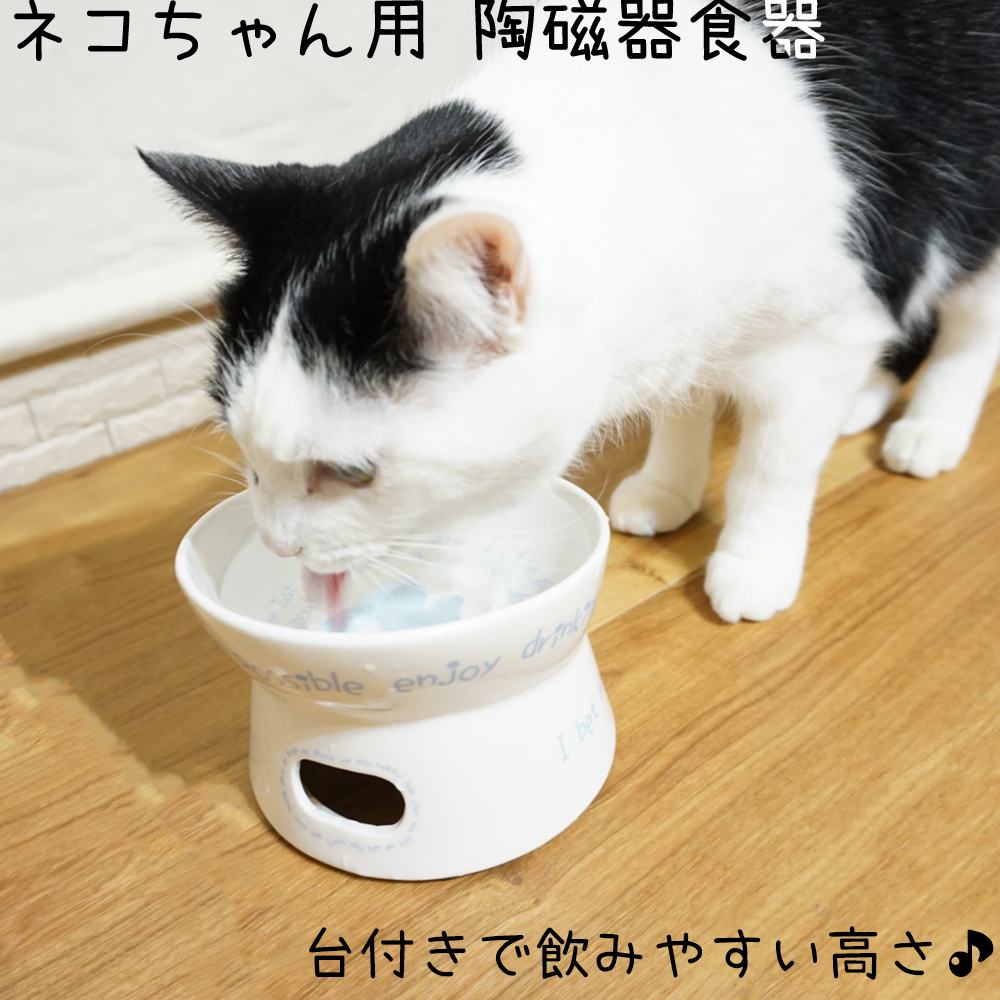 楽天市場 陶磁器 ネコちゃん用 マザーボウル Cw 7002lv 猫用 食器 台座 高さ Dog With Me ドッグウィズミー Dog With Me