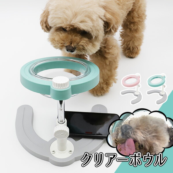 読みやすい丼鉢 Ta213 091 001 秘密捜査員お召物 ホルンボウル ペット失費気高さ ちゃん 猫ちゃん 数量さ調整可能 恰好いい食器 Pasadenasportsnow Com