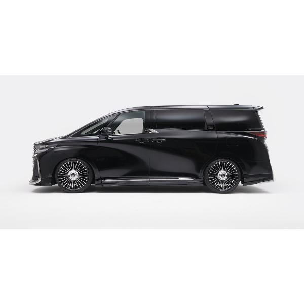 WALD トヨタ 40系 Z-Premie AAHH40W 45W TAHA40W 45W ヴェルファイア R5.6- ドアパネル スモークメッキG ヴァルド エアロ 40ヴェルファイア｜アイアンドアール