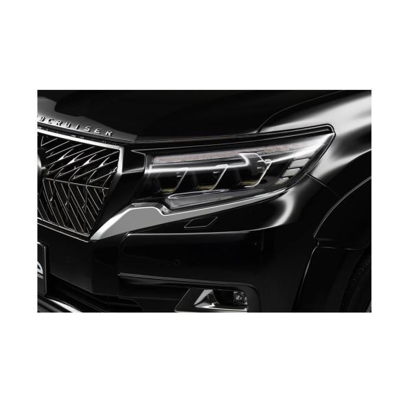 wald-prado-b_17180.jpg