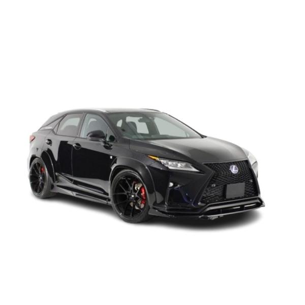 【AIMGAIN】 純VIP EXE LEXUS レクサス RX450h RX200t F-SPORT RX 前期 パーフェクトボディーキット 6点SET エイムゲイン 2015.10-2019.8 エアロキット