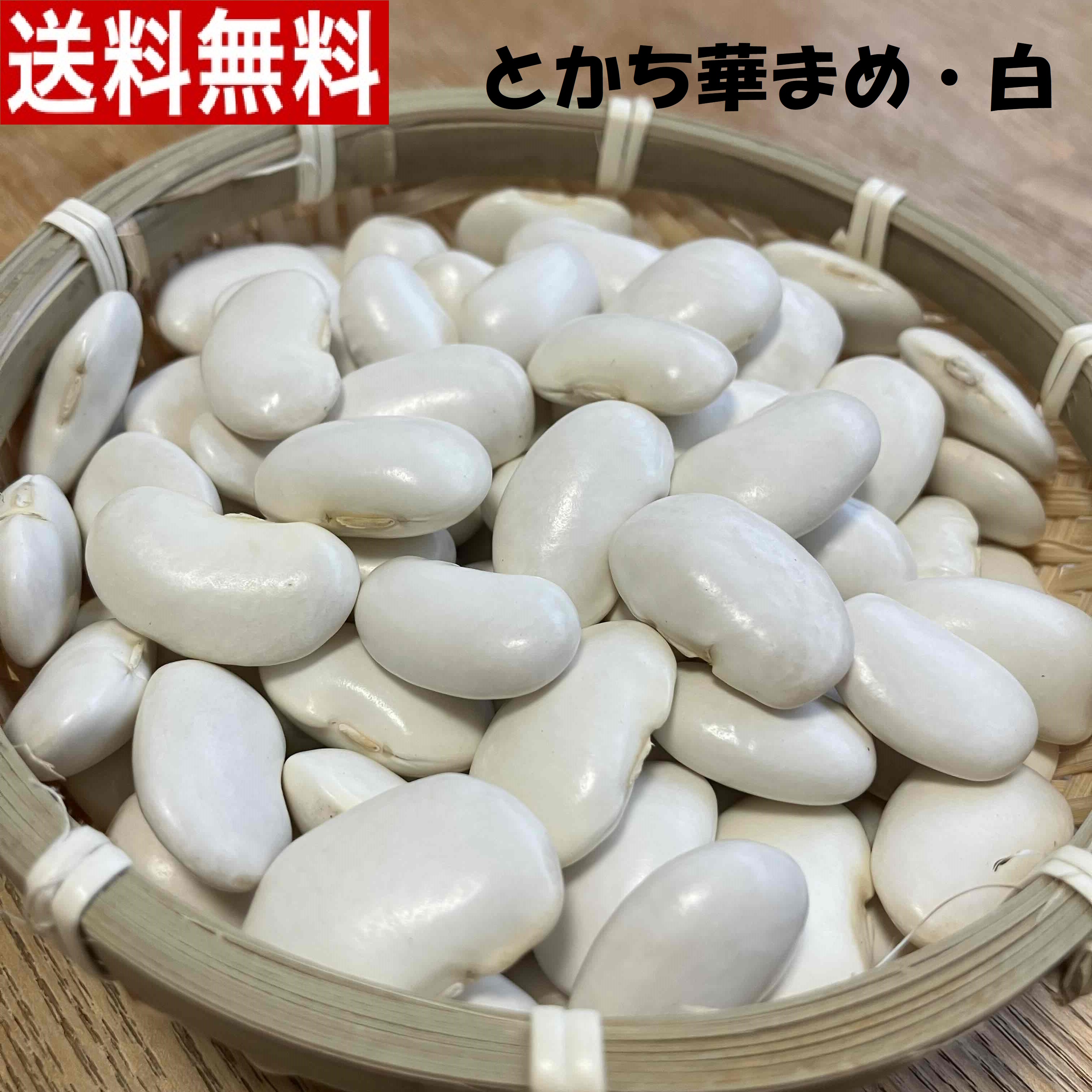 白花豆 5kg 北海道令和4年産 無農薬 発送が8/20以降になります