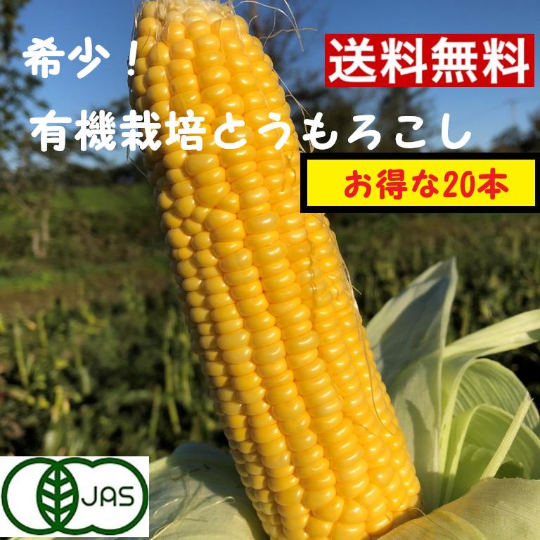 R７年産予約開始　送料無料【希少】　有機栽培　北海道十勝産オーガニックとうもろこし20本入り　【送料無料】朝もぎ直送！！　クール配送　立ったまま配送で鮮度維持　ゴールドラッシュ　イエロー種　農薬不使用　化学肥料不使用　さわやかな甘み　夏野菜　　贈答