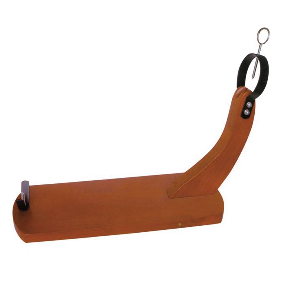 世界三大生ハムの一つ 専門店が選んだ本物の最高級のハモンイベリコベジョータ原木 スペイン産 お中元 精肉 肉加工品 パーティー ギフト 生ハム食べ放題 生ハム 高級18ヶ月熟成 生ハム台 ナイフ付 お歳暮 ブロック ギフト ハモンセラーノ骨付き生ハム原木1本