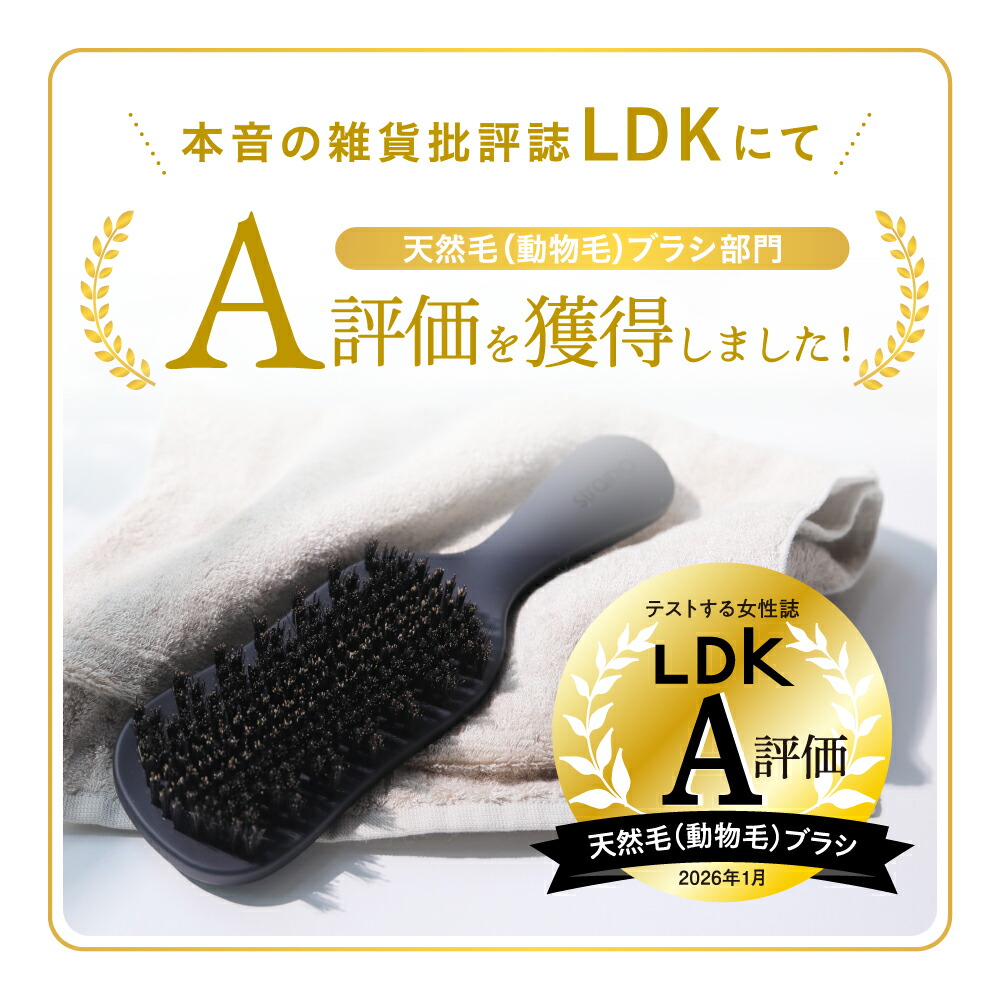 ポイント10倍】 【公式】ケアストレートブラシ strainia ストレーニア