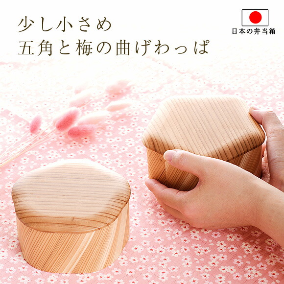 楽天市場】弁当箱 日本の弁当箱 小判 お弁当箱 杉 ウレタン わっぱ