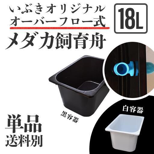 楽天市場 単品 送料別 オーバーフロー式メダカ舟 黒容器 白容器 14l 単品 水槽 トロ舟 トロファスト 飼育容器 屋外 鉢 大型 プラスチック 指宿メダカとアクアリウム いぶき