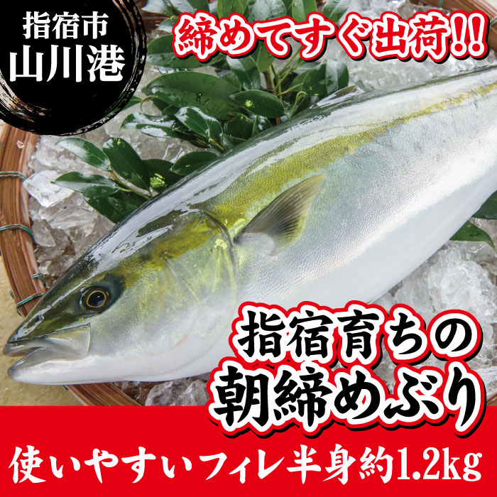 指宿育ち 朝締めぶりフィレ半身締めてすぐ出荷 食べやすい 正味重量1 2kg前後 5kg前後のぶりを半身に捌いてます ブリ フィレ 切り身 切身 養殖 母の日 餌にこだわり脂ののりがよく臭みのない上質な身が自慢のブリ マクドナルドやフォルクスワーゲンなどが自 Diasaonline Com