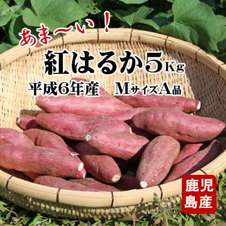 さつまいも 焼き芋 薩摩芋 鹿児島 生いも 紅はるか 送料無料 5kg べにはるか 蜜芋 サツマイモ さつま芋 5キロ Mサイズ A品 焼き芋に 美容 ギフト