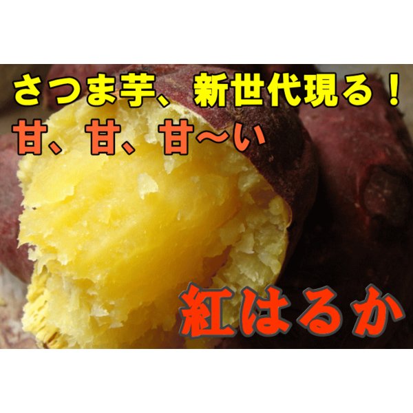 さつまいも鹿児島紅はるか送料無料5kgべにはるか蜜芋サツマイモ5キロLサイズA品