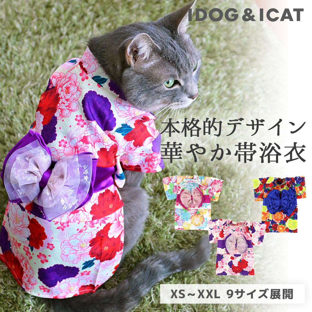 猫 人気 服 帯