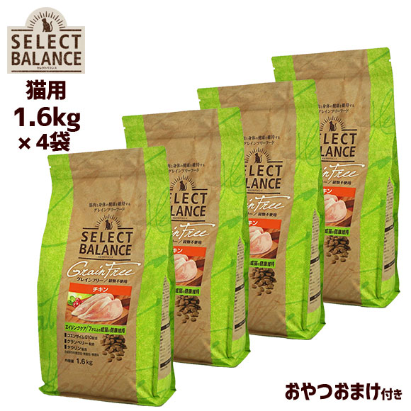 New arrival ★ 新商いもの案内書