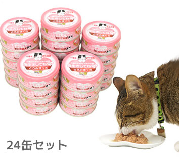 キャットフード ウェットフード まとめ売り たまの伝説 はごろも アイシア 猫 beisia_4571104719618
