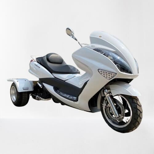 楽天市場】マジェ風 200cc ローダウンカスタム新車 完成品で発送します