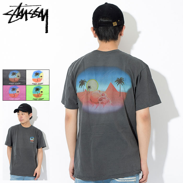 STUSSY - 【新品】ステューシー 半袖ティーシャツ 2点セットSTUSSY 8