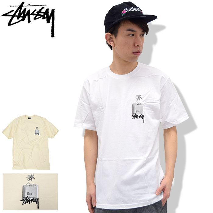 【楽天市場】【アウトレット(不良箇所あり)】ステューシー STUSSY Tシャツ 半袖 メンズ Diagonal ( stussy tee  ティーシャツ T-SHIRTS カットソー トップス メンズ・男性用 1903784 ストゥーシー スチューシー )[M便 1/1] ice  field icefield : ice field（アイス ...